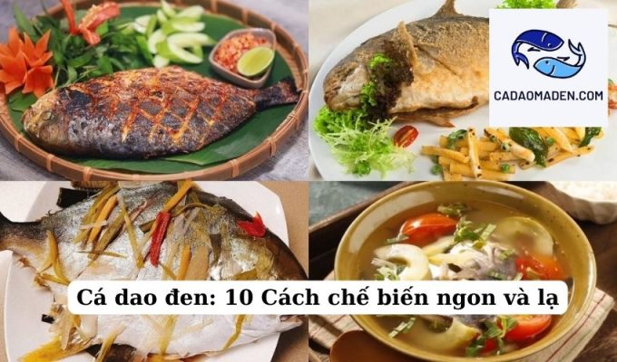 Cá dao đen 10 Cách chế biến ngon và lạ